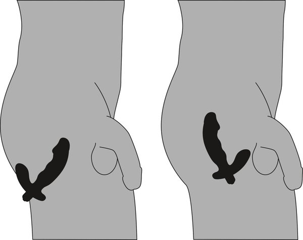 Prostatavibrator „Cock-shaped Vibe“, 15 cm
